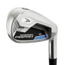 Dynacraft Prophet CB Eisen Schlägerkopf RH GapWedge