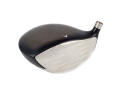 Rogue Titanium Driver Schlägerkopf