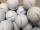 akeballs Taylor Made Tour Preferred RECYCLED - AAAA GRADE/PEARL PREMIUM LAKE BALLS