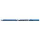Mitsubishi-Rayon Diamana BF Series 50 R-Flex Golfschaft