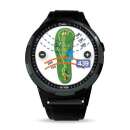 Golfbuddy aim W10