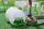 Magballs Feedback PUTT-Trainingsbälle