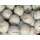 Lakeballs Markenmix Premium 2 AA-AAA