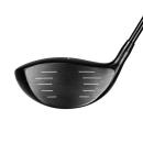 Acer SR1 Titanium Driver Schlägerkopf