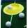 Best Track - Putting Cup