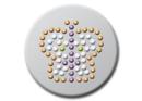 One Size Ballmarker Crystal Butterfly