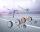 JUCAD CARBON TRAVEL RACING 2.0, Sonderedition
