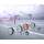 JUCAD CARBON TRAVEL RACING 2.0, Sonderedition