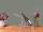 JUCAD MINIATUR TROLLEY - Weinflaschenhalter