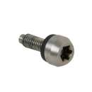 Taylor Made r9 Head Screw