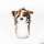 Australian Shepherd Dog Driver Daphne Headcover