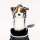 Australian Shepherd Dog Driver Daphne Headcover