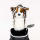 Australischer Schäferhund Driver Daphne Headcover
