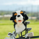 Berner Sennenhund Driver Daphne Headcover