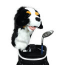 Berner Sennenhund Driver Daphne Headcover