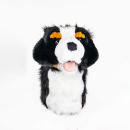 Berner Sennenhund Driver Daphne Headcover