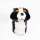 Berner Sennenhund Driver Daphne Headcover