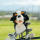Berner Sennenhund Driver Daphne Headcover