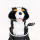 Berner Sennenhund Driver Daphne Headcover