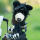 Black Bear Driver Daphne Headcover