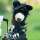 Black Bear Driver Daphne Headcover