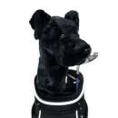 Schwarzer Labrador Driver Daphne Headcover