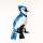 Blue Jay Driver Cover
