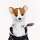 Couverture de conducteur Corgi