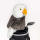 Adler Driver Daphne Headcover