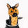 Deutscher Schäferhund Driver Daphne Headcover