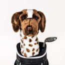 Deutscher Kurzhaar Driver Daphne Headcover