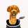 Golden Retriever Driver Daphne Headcover