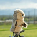 Gopher (pocket gopher) Driver Daphne Headcover