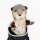 Gopher (Taschenratte) Driver Daphne Headcover