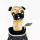 Pug Driver Daphne Headcover