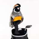 Wachtel Driver Daphne Headcover