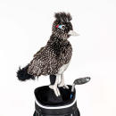 Road Runner (Wegekuckkuck) Driver Daphne Headcover
