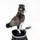 Road Runner (Wegekuckkuck) Driver Daphne Headcover