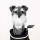 Schnauzer Driver Daphne Headcover