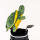 Schildkröte Driver Daphne Headcover
