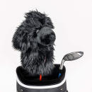 Schwarzer Pudel Hybrid Daphne Headcover