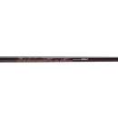 Apollo Balistik Graphite - Holz