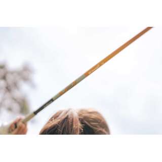 ust Mamiya Proforce v2 Hybrid graphite shaft