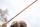 UST Mamiya Proforce V2 85 Hybrid Graphitschaft - Stiff
