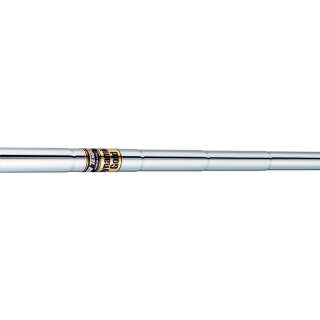 True Temper Dynamic Gold Stahl - Eisen R300