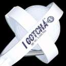 Igotcha Ball Retriever