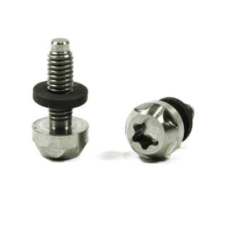 Schraube und Unterlegscheibe für TaylorMade Adapter / Schaftadapter