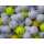 30 Lakeballs gemischt für HCP 28-54